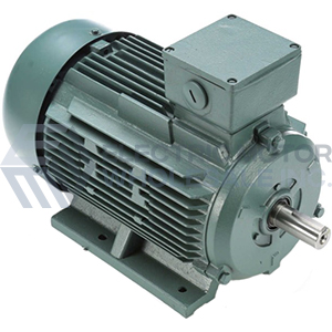 TEFC 112M.jpg